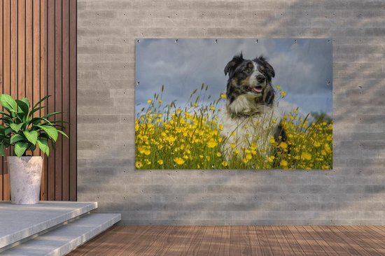 Border Collie parmi les belles fleurs jaunes Affiche de jardin 180x120 cm - Toile de jardin / Toile d'extérieur / Peintures d'extérieur (décoration de jardin) XXL / Grand format!