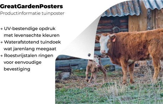 Affiche de jardin vache brune au veau toile en vrac 80x60 cm - Toile de jardin / Toile d'extérieur / Peintures d'extérieur (décoration de jardin)