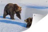 Muurdecoratie Bruine beren in de sneeuw - 180x120 cm - Tuinposter - Tuindoek - Buitenposter