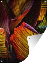 Affiche de jardin Fleurs abstraites - Gros plan des feuilles colorées de roseau fleur abstraite 60x80 cm - Toile de jardin / Toile d'extérieur / Peintures pour l'extérieur (décoration de jardin)