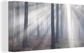 Canvas Schilderij Zonnestralen schijnen in een bos - 40x20 cm - Wanddecoratie