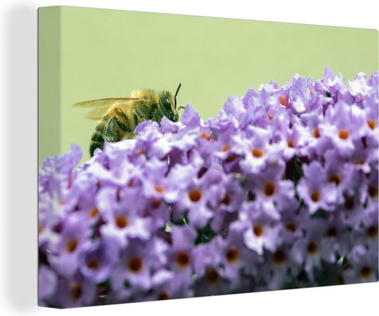 Canvas Schilderij Bij tussen vlinderstruik bloemen - 30x20 cm - Wanddecoratie