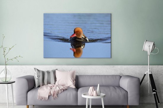 Un canard à crête rouge nage dans une toile de lac bleu 140x90 cm - Tirage photo sur toile (Décoration murale salon / chambre)