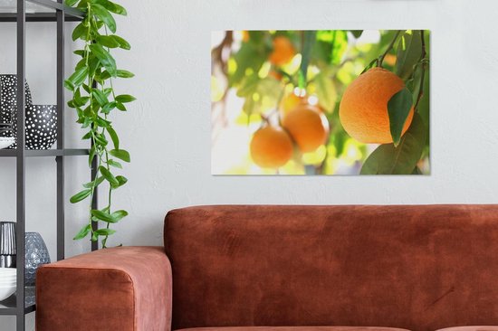 Oranges mûres et rondes sur les arbres Toile 90x60 cm - Tirage photo sur toile (Décoration murale salon / chambre)