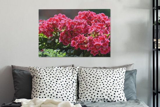 Fleurs de géranium dans un jardin Toile 60x40 cm - Tirage photo sur toile (Décoration murale salon / chambre)