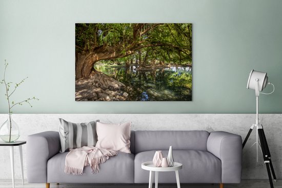 Het gifgroene bos in het Nationaal park Lago de Camécuaro in Mexico Canvas 140x90 cm - Foto print op Canvas schilderij (Wanddecoratie woonkamer / slaapkamer)