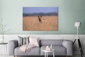 Canvas Schilderij Hyena - Gras - Azië - 180x120 cm - Wanddecoratie XXL