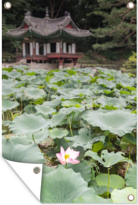 Nénuphars dans l'étang dans le jardin de Changdeokgung Poster Jardin 40x60 cm - petit - Toile de jardin / Toile d'extérieur / Peintures pour l'extérieur (décoration de jardin)