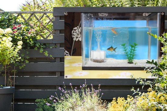 Tuinposter - - Tuinposters - Twee visjes in een aquarium - 120x80 cm -... | bol.com