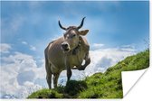 Alpen koe op drie poten poster 60x40 cm - Foto print op Poster (wanddecoratie woonkamer / slaapkamer) / Boerderijdieren Poster