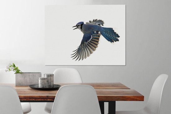 Blue Jay devant toile fond blanc 2cm 80x60 cm - impression photo sur toile peinture Décoration murale salon / chambre à coucher) / Animaux sauvages Peintures Toile