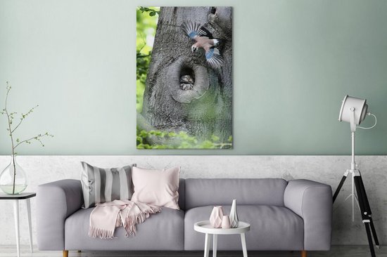 Jay avec un hibou 90x140 cm - Tirage photo sur toile (Décoration murale salon / chambre)