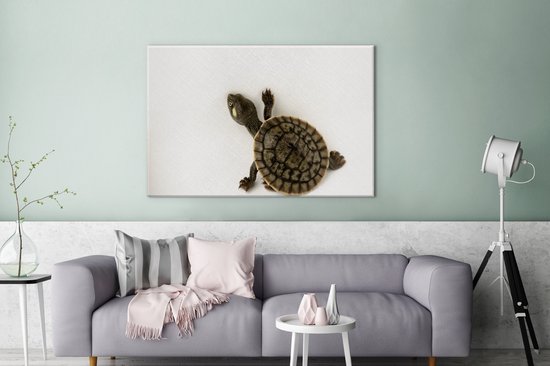 Bébé tortue marche toile sur fond blanc 2cm 120x80 cm - impression photo sur toile peinture Décoration murale salon / chambre à coucher) / Animaux sauvages Peintures Toile