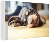 Canvas schilderij 180x120 cm - Wanddecoratie Hond liggend op de grond - Muurdecoratie woonkamer - Slaapkamer decoratie - Kamer accessoires - Schilderijen