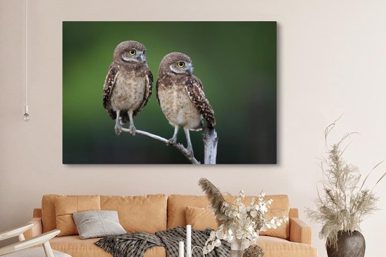 Tableau sur toile Deux hiboux des cavernes sur une branche - 150x100 cm - Décoration murale