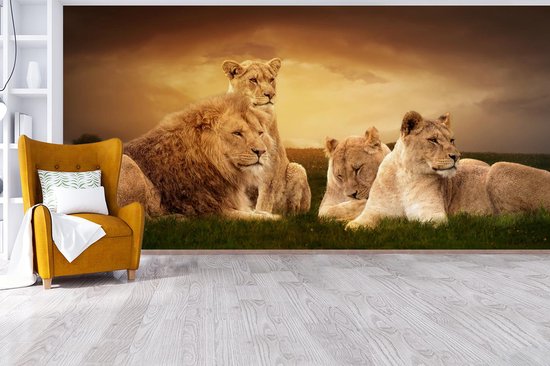 Papier peint - Papiers Papier peint photo Lions - Herbe - Ciel - Largeur 395 cm x Hauteur 220 cm