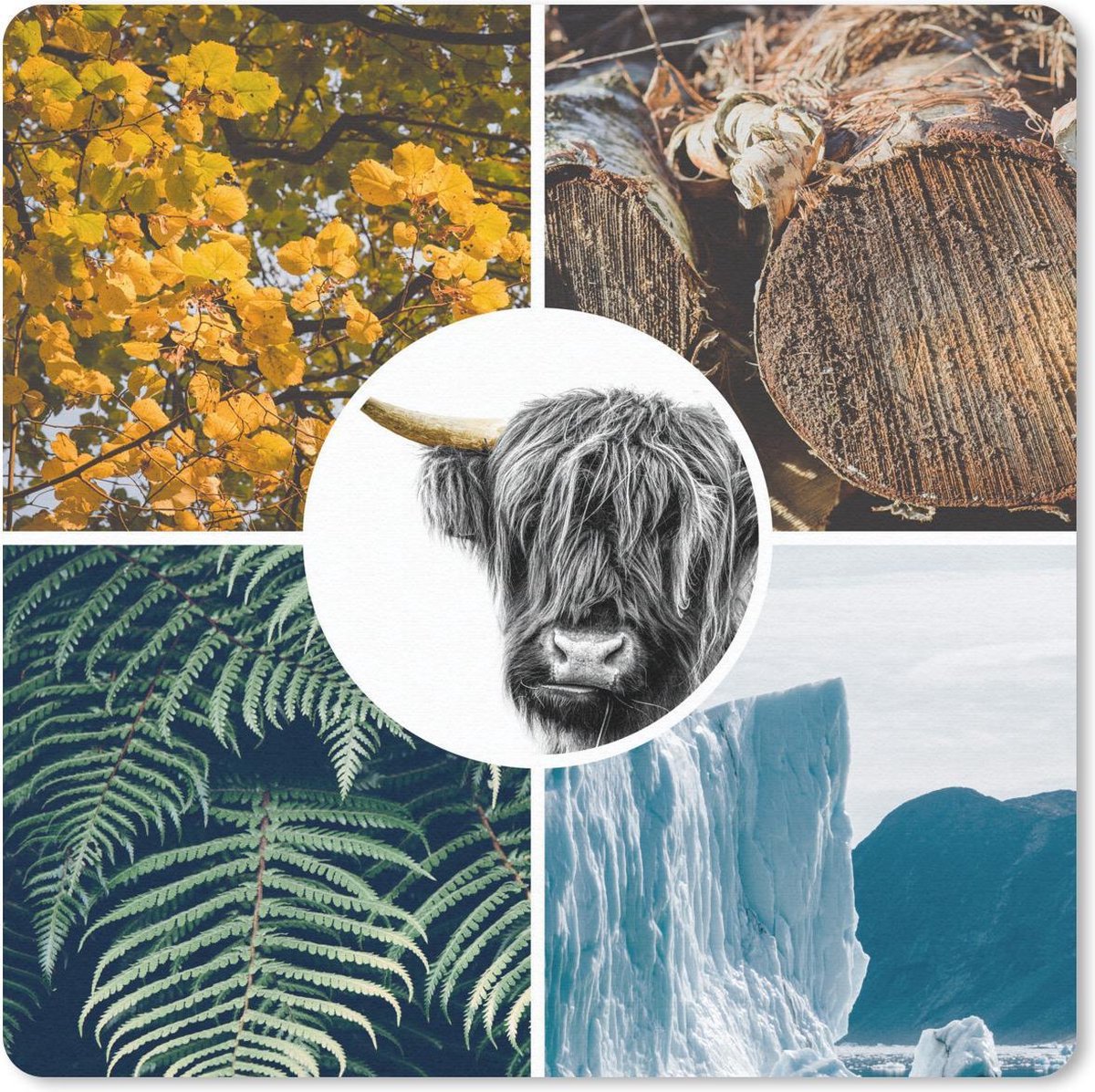 Muismat 20x20 cm - Mousepad Schotse Hooglander - Collage - Planten - Boom - Muismatten