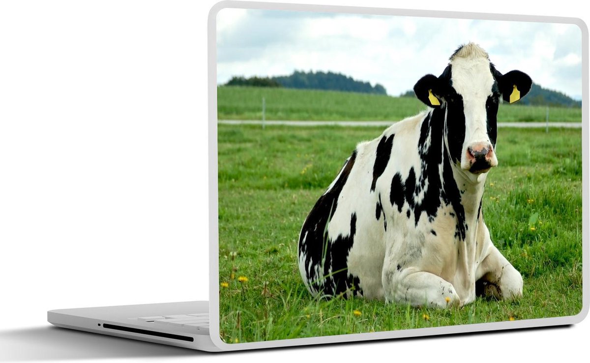 Laptop sticker - 17.3 inch - Koe - Dier - Friesland - 40x30cm - Laptopstickers - Laptop skin - Cover