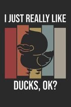 I Just Really Like Ducks, OK?