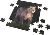 Cadeautip! Tijgerpuzzel - Tijger - 14 x 10 cm  - 24 stuks - Full color