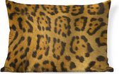 Sierkussen imprimé léopard d'intérieur - fourrure léopard - 60x40 cm - coussin rectangulaire en coton