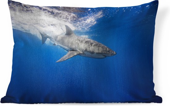 Sierkussen Indoor predators - Requin Witte dans l'océan - 60x40 cm - Coussin intérieur rectangulaire en coton