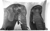 Buitenkussens - Tuin - Nieuwsgierige olifanten in zwart-wit - 60x40 cm