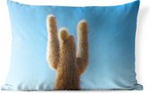 Buitenkussens - Tuin - Cactus met blauwe hemel - 50x30 cm