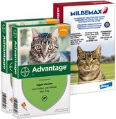Kat Preventiepakket tegen vlooien, teken en wormen - Binnenkat 2 - 4 kg