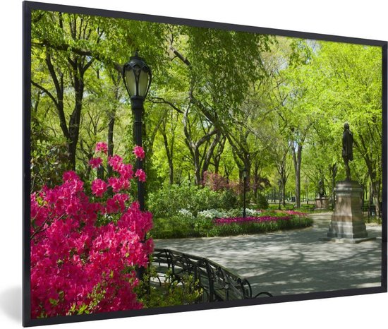 Image encadrée - Central Park New York avec un cadre photo plant rose 30x20 cm - Affiche encadrée (Décoration murale salon / chambre)