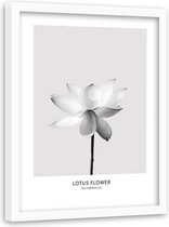 Foto in frame , Witte Lotusbloem ​, 80x120cm , Zwart wit  , Premium print