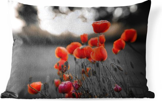 Coussins d'extérieur - Jardin - Coquelicots rouges sauvages dans un grand champ avec un fond noir et blanc - 60x40 cm