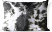 Sierkussen Koe print voor buiten - De koeienhuid van een longhorn koe - 60x40 cm - rechthoekig weerbestendig tuinkussen / tuinmeubelkussen van polyester