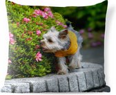 Buitenkussens - Tuin - Een Yorkshire Terrier loopt langs kleurrijke bloemen - 60x60 cm