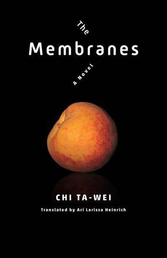 Modern Chinese Literature from Taiwan - The Membranes - cover