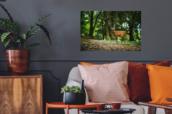 Sticker Muursticker Animaux Libres - Cerf au premier plan - 60x40 cm - film adhésif autocollant - sticker mural repositionnable