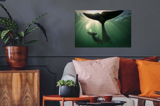 Muursticker Animaux libres - Deux dauphins - 60x40 cm - feuille adhésive autocollante - sticker mural repositionnable