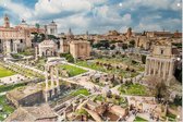 Ruïnes van het Forum Romanum in het oude Rome - Foto op Tuinposter - 60 x 40 cm