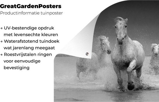 Affiche jardin - Toile jardin - Posters de jardin extérieur - Paarden - Water - Boue - 120x90 cm - Jardin