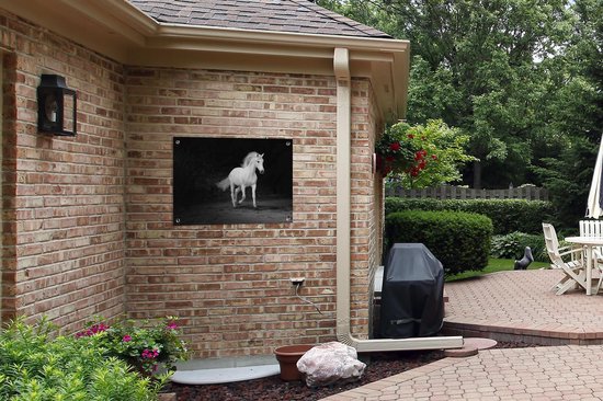 Tableau de jardin Paarden - Sable - Foncé - 80x60 cm - Affiche jardin - Toile jardin - Affiche extérieur