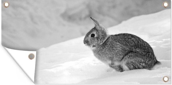 Tuinposter Wild konijn in de sneeuw - zwart wit - 60x30 cm - Tuindoek - Buitenposter