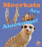 Awesome African Animals! - Meerkats Are Awesome!