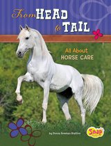 Crazy About Horses - From Head to Tail