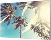 Wandpaneel Tropisch eiland palmbomen blauwe lucht  | 150 x 100  CM | Zilver frame | Wandgeschroefd (19 mm)