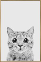 JUNIQE - Poster met kunststof lijst Kitten Classic -13x18 /Wit & Zwart