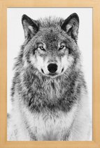 JUNIQE - Poster in houten lijst Winterwolf -30x45 /Grijs