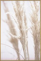 JUNIQE - Poster met kunststof lijst Pampas Reed 01 -13x18 /Ivoor & Wit