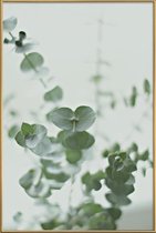 JUNIQE - Poster met kunststof lijst Eucalyptus Green 2 -13x18 /Groen &