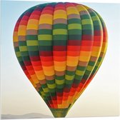 Acrylglas - Gekleurde Luchtbalonnen - 80x80cm Foto op Acrylglas (Wanddecoratie op Acrylglas)