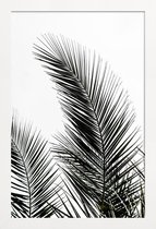 JUNIQE - Poster met houten lijst Palm Leaves 1 -13x18 /Kleurrijk